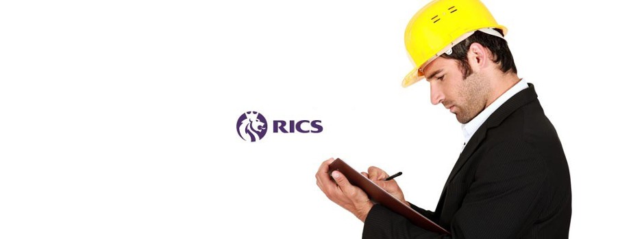 Homebuyer RICS Property Survey
